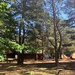 キャンプ場 Camp Bursztynowy