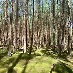 Camp Bursztynowy グダニスク