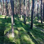 Camp Bursztynowy Campsite *