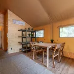 Camp Bursztynowy Κάμπινγκ Γκντανσκ