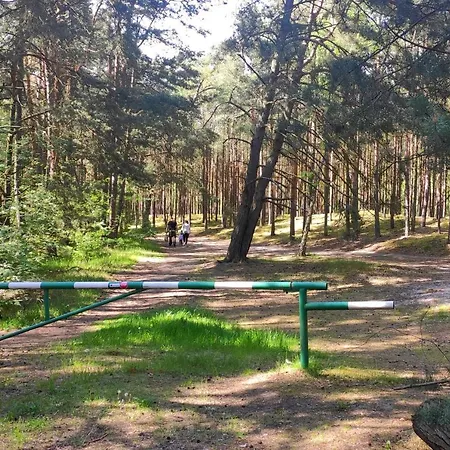 Camp Bursztynowy キャンプ場