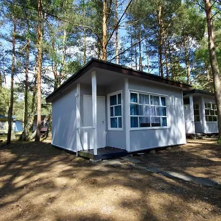 Camp Bursztynowy *