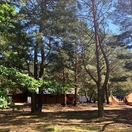 キャンプ場 Camp Bursztynowy