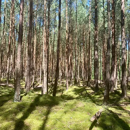 Camp Bursztynowy Gdansk