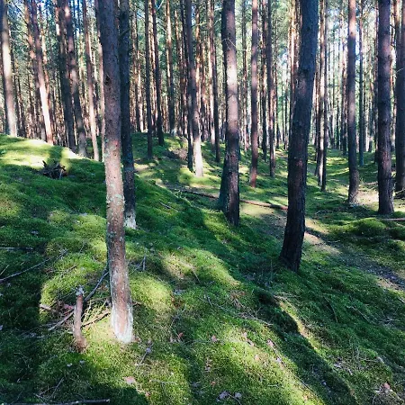Camp Bursztynowy Campsite *