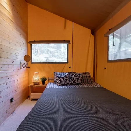 Camp Bursztynowy グダニスク