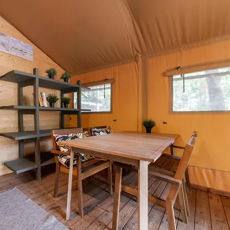 キャンプ場 Camp Bursztynowy *