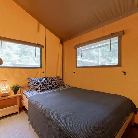 キャンプ場 Camp Bursztynowy グダニスク