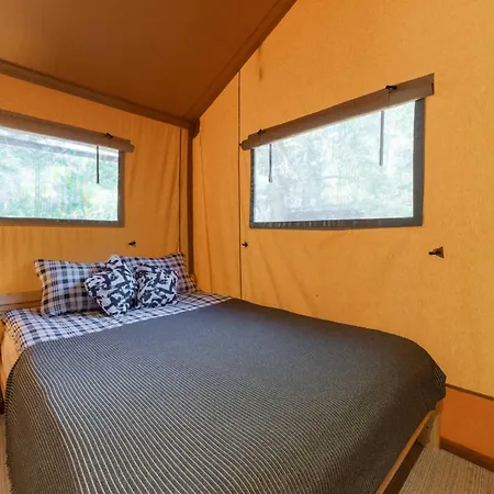 Camp Bursztynowy Gdansk