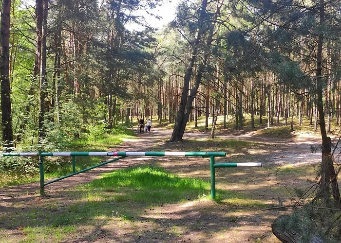 Camp Bursztynowy 营地