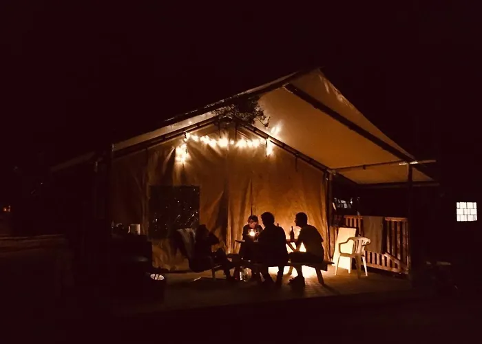 キャンプ場 Camp Bursztynowy *