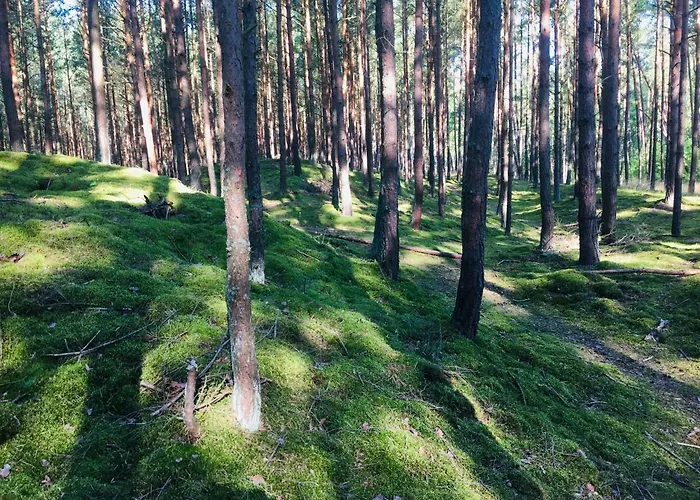 Camp Bursztynowy キャンプ場 *