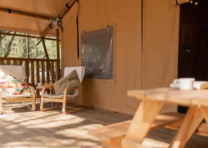 Camp Bursztynowy Kemping