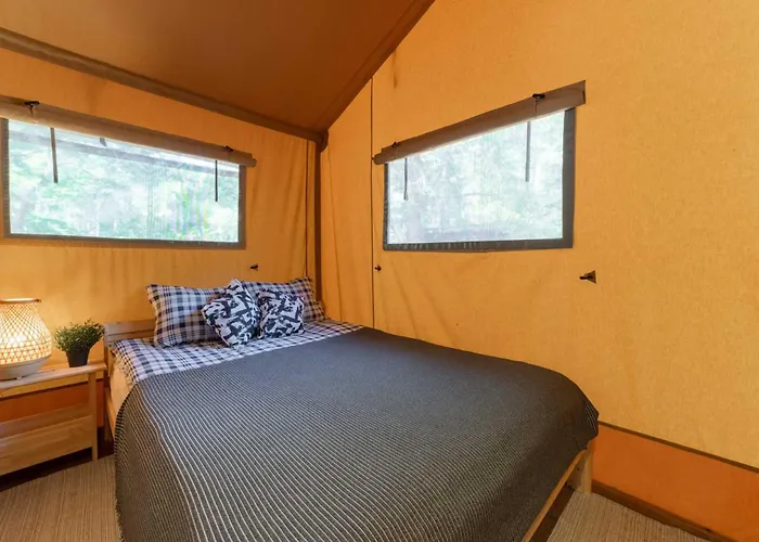 Camp Bursztynowy 格但斯克