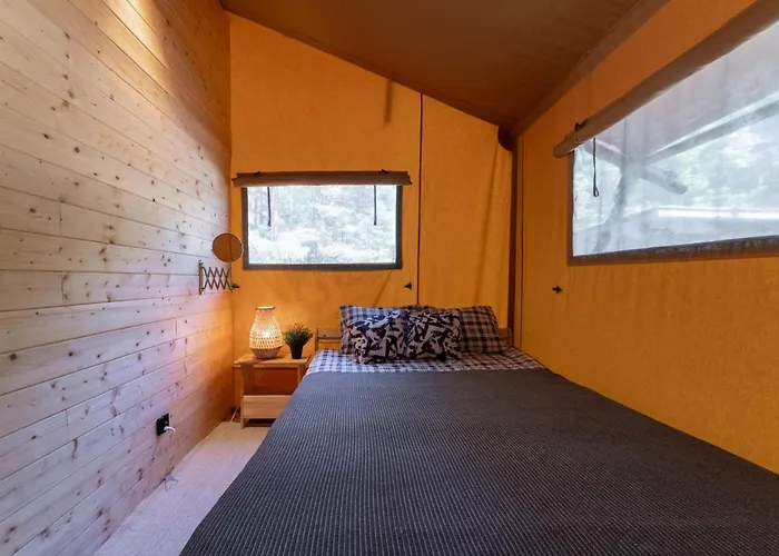 Camp Bursztynowy Gdańsk