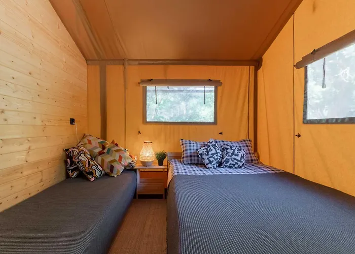 Camp Bursztynowy * Gdańsk